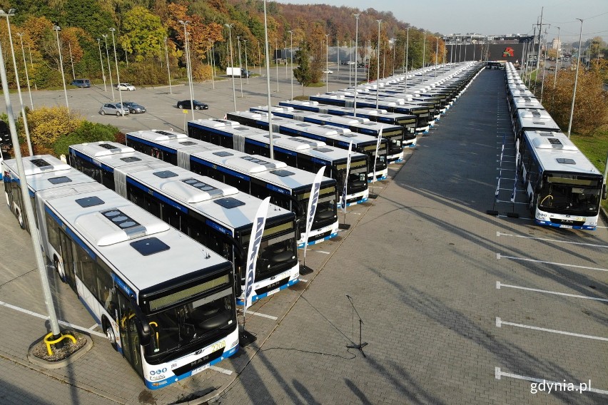 55 nowych autobusów na ulicach Gdyni. Zastąpią starsze pojazdy. To największa wymiana taboru w historii gdyńskiej komunikacji miejskiej 