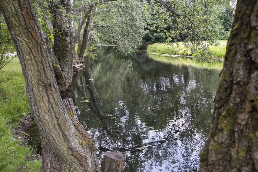 Park Sielecki, czyli odpoczynek nad kameralnym stawem