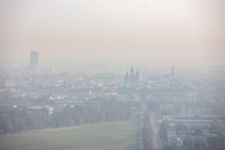 Zgierz zajął trzecie miejsce w Polsce pod względem średniego...