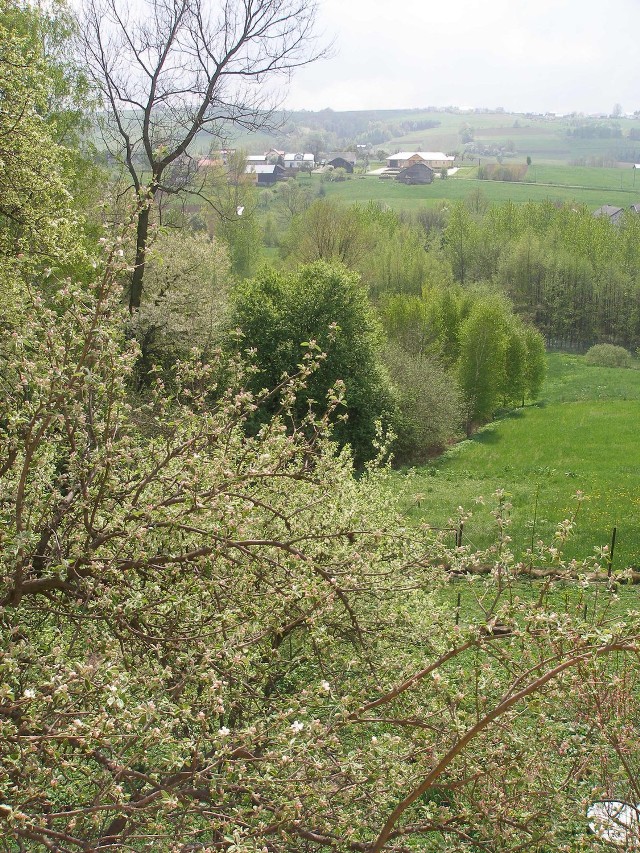 Wiosna we wsi Bugaj, gm. Biecz, 2013