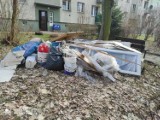Remont mieszkania skończony a sterty gruzu wyrzuconego przed blokiem w Kielcach nikt nie zabrał