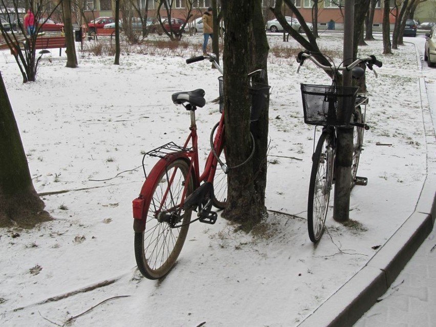 Wrocław: Na Wieczystej wymienią nowe stojaki na rowery