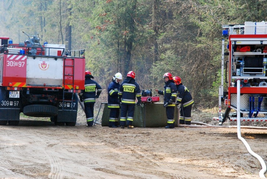 Wielkie ćwiczenia strażaków w okolicy miejscowości Ponikła i...