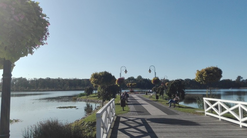 Wolsztyn to nie tylko parowozy, to także piękne jeziora,...