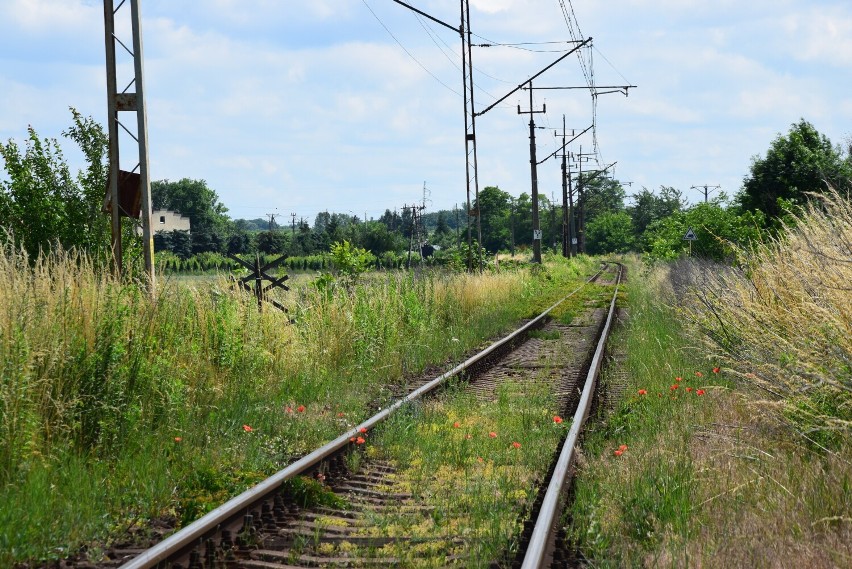 Pociągiem z Wielunia do Wrocławia. Projekt został wycofany z programu Kolej plus. Rewitalizacją linii ma zająć się PKP PLK