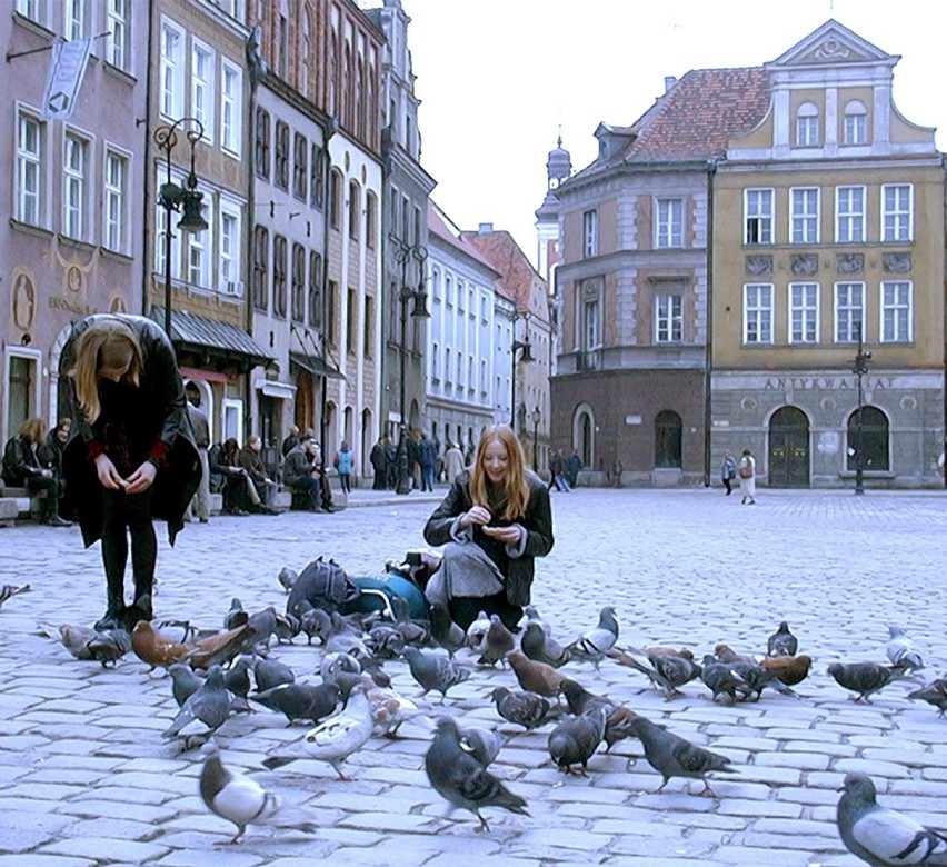 Taki był Poznań w 2000 roku.


Kolejne zdjęcie --->