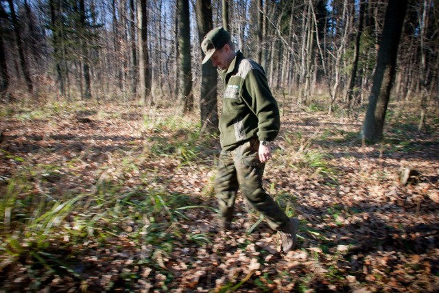 Po ostatnich opadach deszczu, które odnotowano w regionie wałbrzyskim, został uchylony zakaz wstępu do lasów państwowych administrowanych przez Nadleśnictwo Wałbrzych