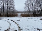 Będą nowe kąpieliska i plaże dla mieszkańców w Sokolu i Rychnowach. Gmina Człuchów podpisała stosowne umowy z Nadleśnictwem Człuchów