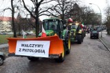 Ciągniki nie przyjadą do Szczecina. Przez złą pogodę rolnicy zawieszają protest