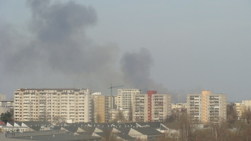 Pożar traw w Warszawie