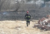 Ponad 30 pożarów traw i ogień w pustostanie. Tomaszowscy strażacy znów mają pracowity weekend