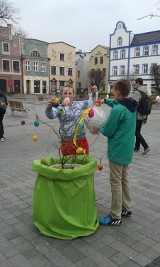 Gimnazjaliści z Pucka ozdobili pucki Stary Rynek: Wielkanoc 2015 | ZDJĘCIA