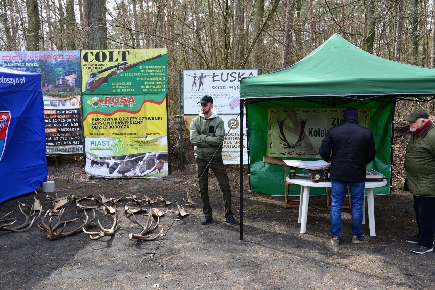 Krotoszyn. Wypuszczą 100 kuropatw w ramach akcji związanej z ochroną zwierzyny drobnej [FOTO]