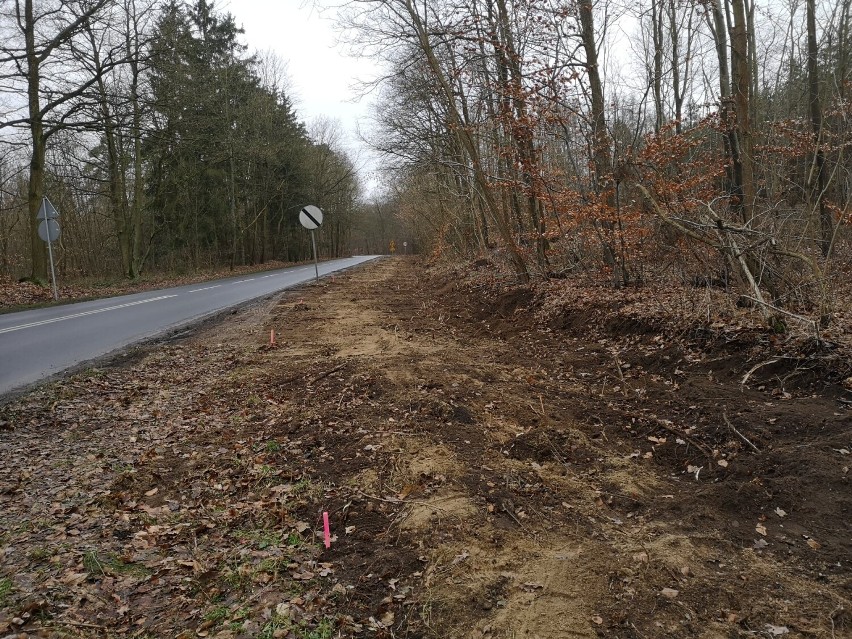 Gmina Kuślin: Wyczekiwana inwestycja w gminie. Na jakim etapie obecnie są prace nad budową trasy rowerowej Wąsowo-Trzcianka? Sprawdziliśmy. 