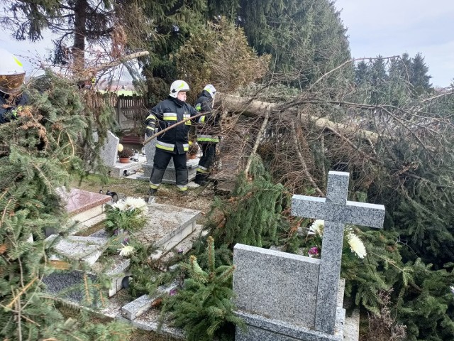 Interwencje strażaków z Brzegu Głogowskiego