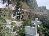 Orkan nad Głogowem i regionem. Drzewa spadły na nagrobki na cmentarzu. AKTUALIZACJA
