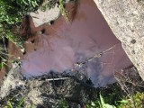 Zanieczyszczona woda w cieku na ul. Pomorskiej. "Przerażające" 