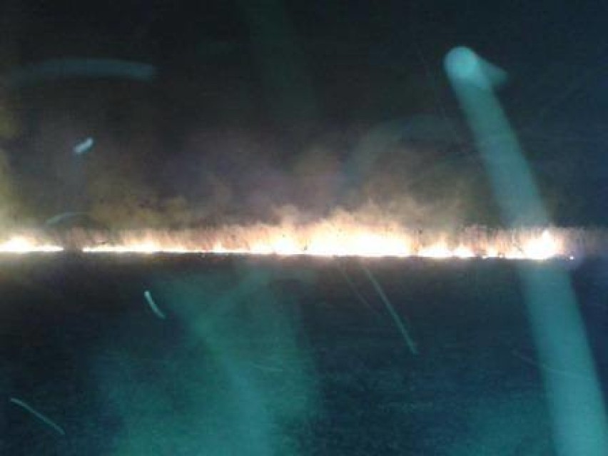 Grozny pożar traw w Polskiej Cerekwi