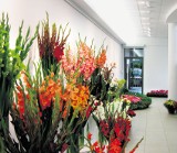 Wystawa kompozycji kwiatowych w Ośrodku Propagandy Sztuki
