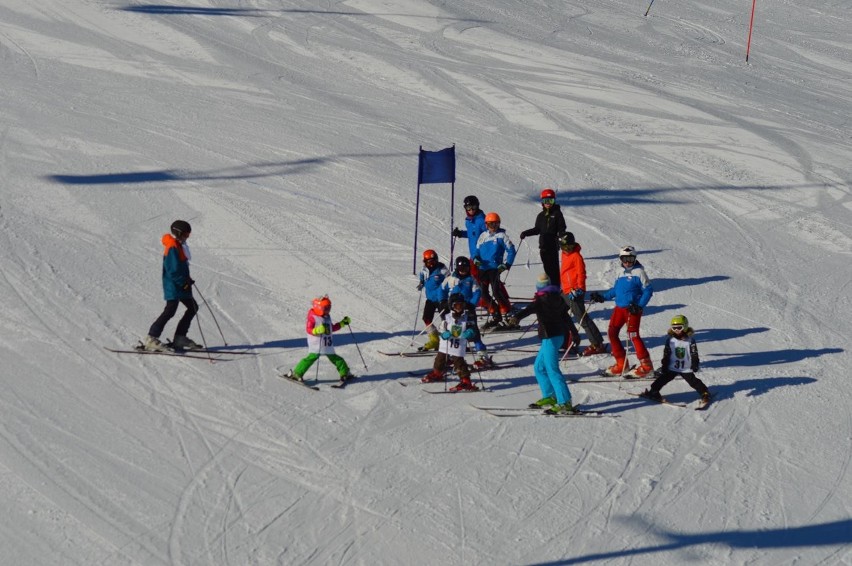 Puchar wójta Jeleśni w slalomie gigancie - NOWE ZDJĘCIA!