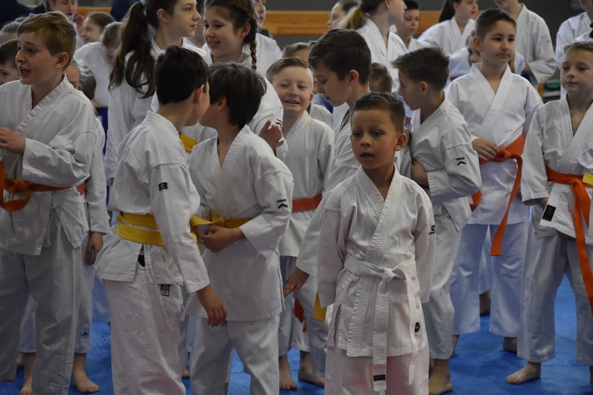 Oleśnica: Trwa siódmy Wiosenny Turniej Karate Tradycyjnego (FOTO)