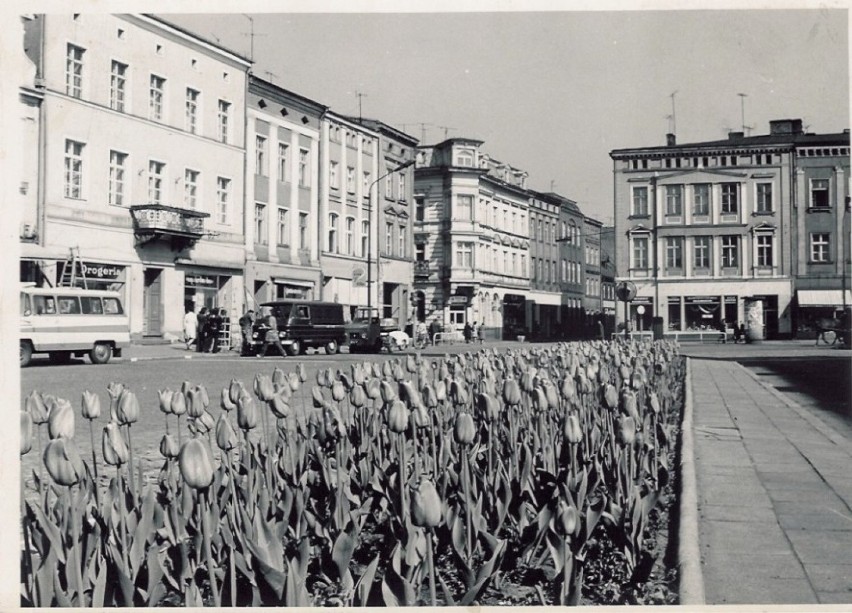 Leszno w czasach PRL. Wtedy stało się miastem wojewódzkim i przeżywało gwałtowny rozwój. Zobaczcie, jak wyglądało Leszno w PRL [ZDJĘCIA]   