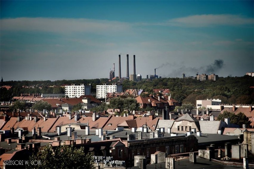 Jeżeli dopiero co się urodziłeś, to przeżyjesz tutaj jeszcze...