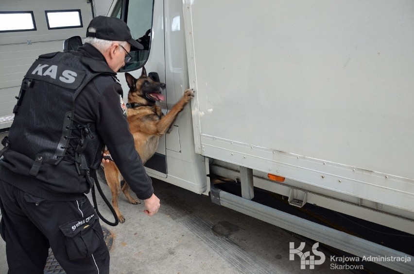 Mundurowi, w okolicach miejscowości Nowa Wieś, na bramkach...