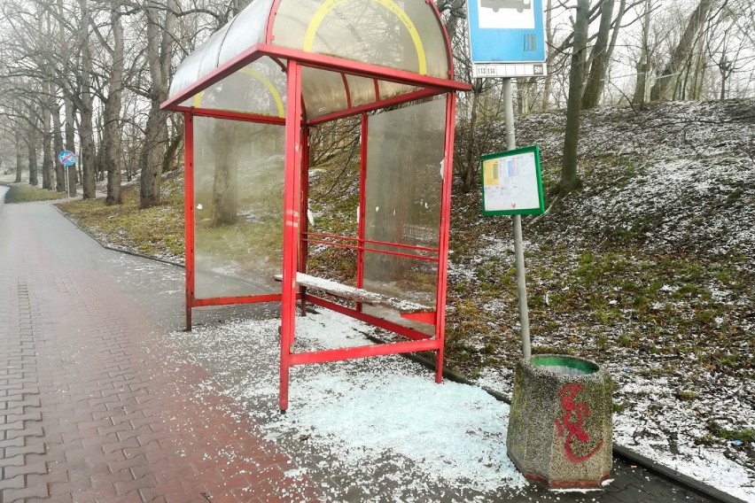 Gorzowscy policjanci zatrzymali dwóch mężczyzn podejrzanych...