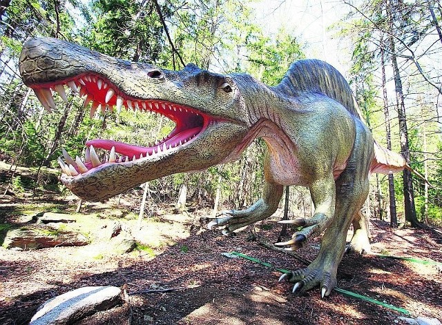 Czy turystów przyciągnie Park Dinozaurów, który będzie otwarty w Szklarskiej Porębie?