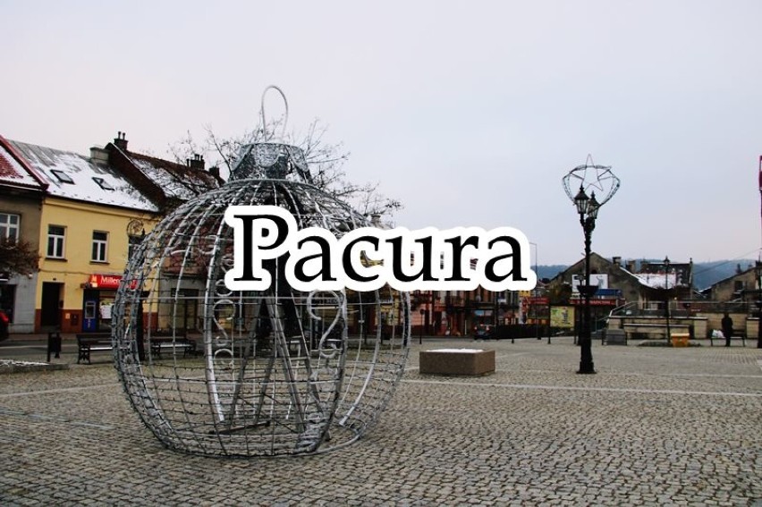 Miejsce 15/16. Pacura - nazwisko to nosi 133 mieszkańców...