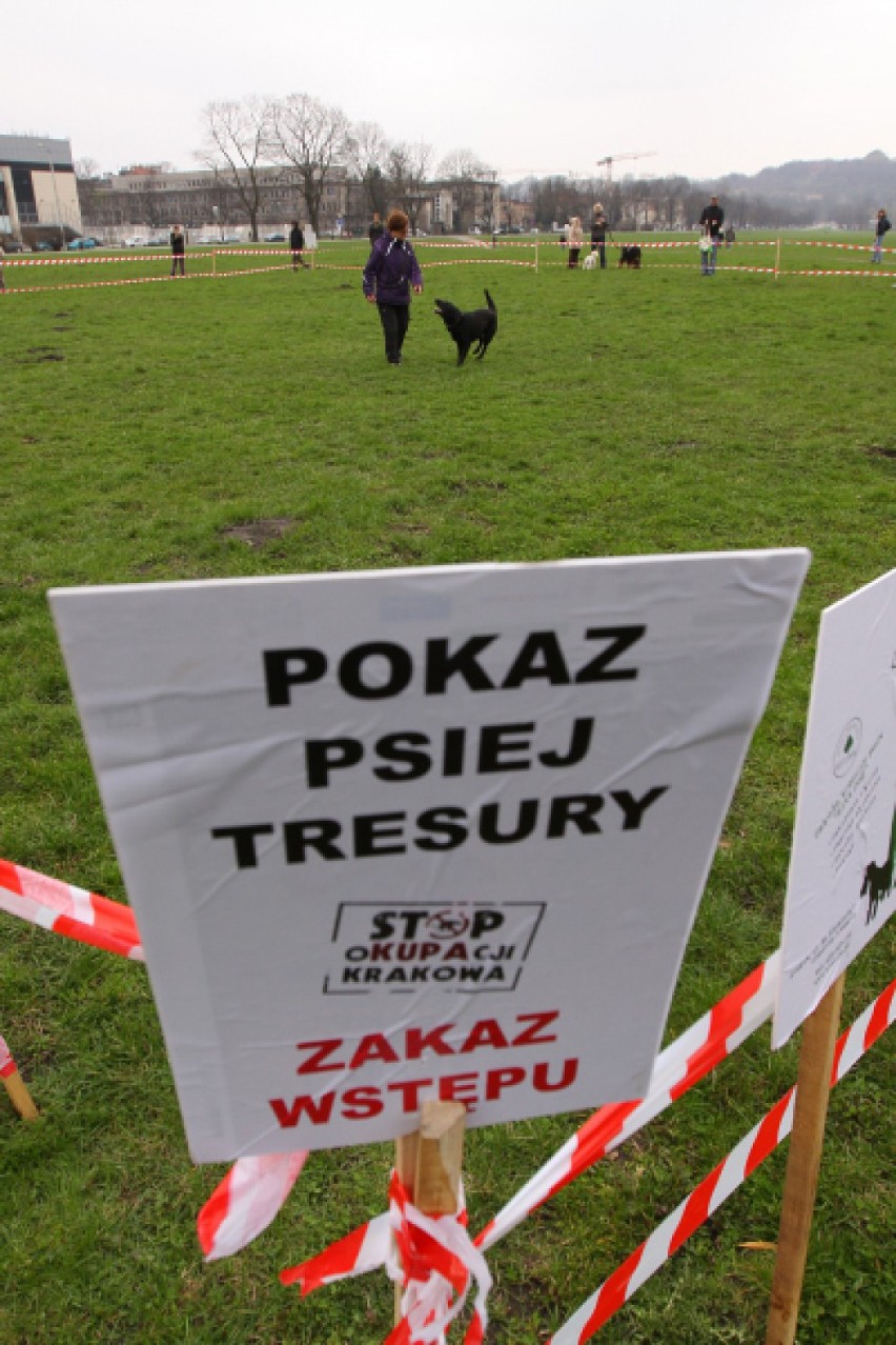 "Stop oKUPAcji Krakowa" - tym hasłem przekonywano podczas...