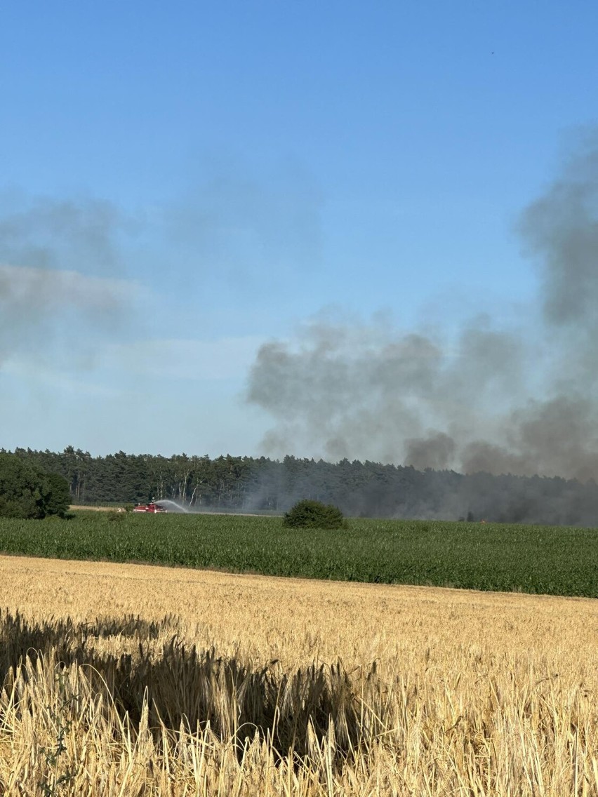 Pożar pola w miejscowości Skrzetusz koło Ryczywołu. Dym widoczny z kilkudziesięciu kilometrów