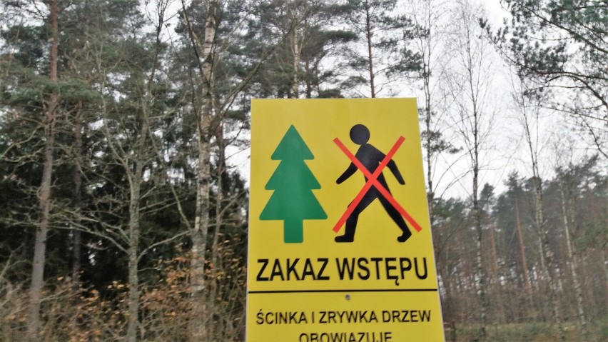 Okolica Gwiazdówka w gminie Sławno