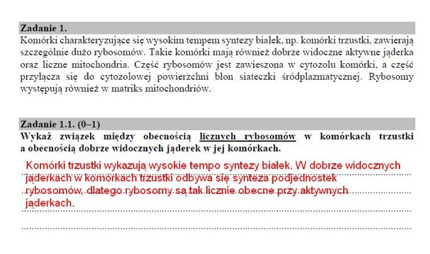 Matura 2019 BIOLOGIA poziom rozszerzony ODPOWIEDZI I ARKUSZ CKE. Matura z biologii rozszerzenie 10.05.2019 -  pytania, odpowiedzi