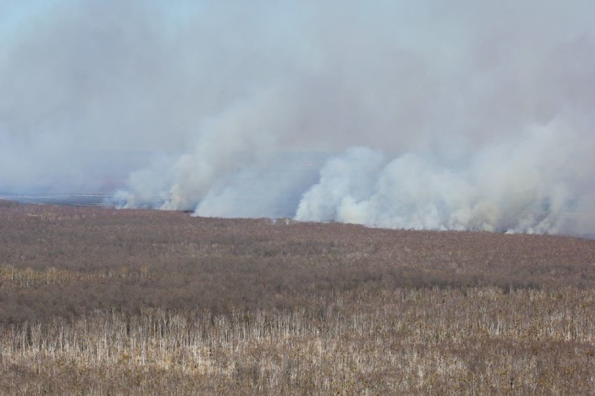 Bielska firma Helipoland gasiła pożar Biebrzańskiego Parku Narodowego. Zobacz ZDJĘCIA
