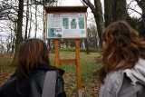 Jeleniogórski park Kościuszki zostanie zrewitalizowany