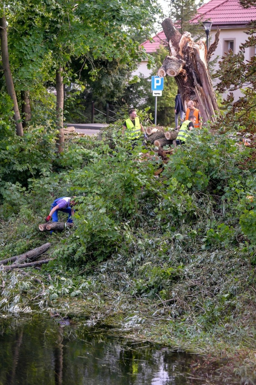 Rozpoczął się proces w sprawie tragedii na obozie harcerskim w Suszku. Na ławie oskarżonych komendanci obozu i urzędnik