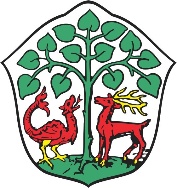 Źródło: http://commons.wikimedia.org/wiki/File:POL_Braniewo_COA.svg