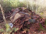 Ktoś potraktował las jak wysypisko śmieci i wyrzucił odpady z nawierzchni obiektów sportowych
