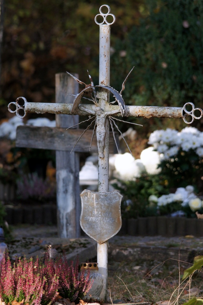 1 listopada na cmentarzu komunalnym w Zielnej Górze  (dzień)