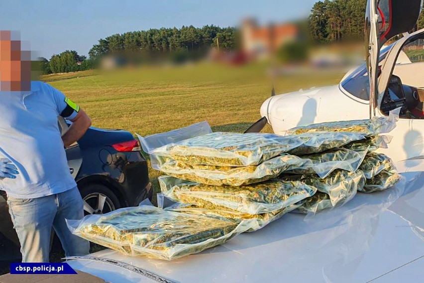 Policjanci znaleźli 73 kg marihuany