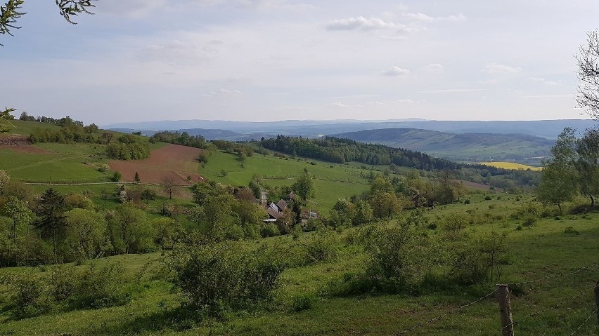 Na sprzedaż 10 działek, w różnych cenach, od 40 tysięcy...