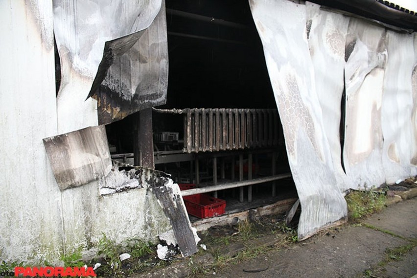 Leszno. Przełom w sprawie podpalenia fabryki artykułów spożywczych przy ulicy Wilkowickiej. Policja zatrzymała podejrzanych