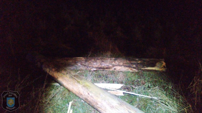 Zderzenia auta z powalonym drzewem na trasie Trzemeszno - Witkowo