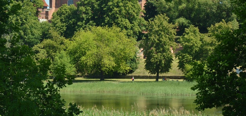 Malbork. Bulwar nad Nogatem musi jeszcze poczekać na wykonawcę. W Urzędzie Miasta dokładnie liczą wydatki