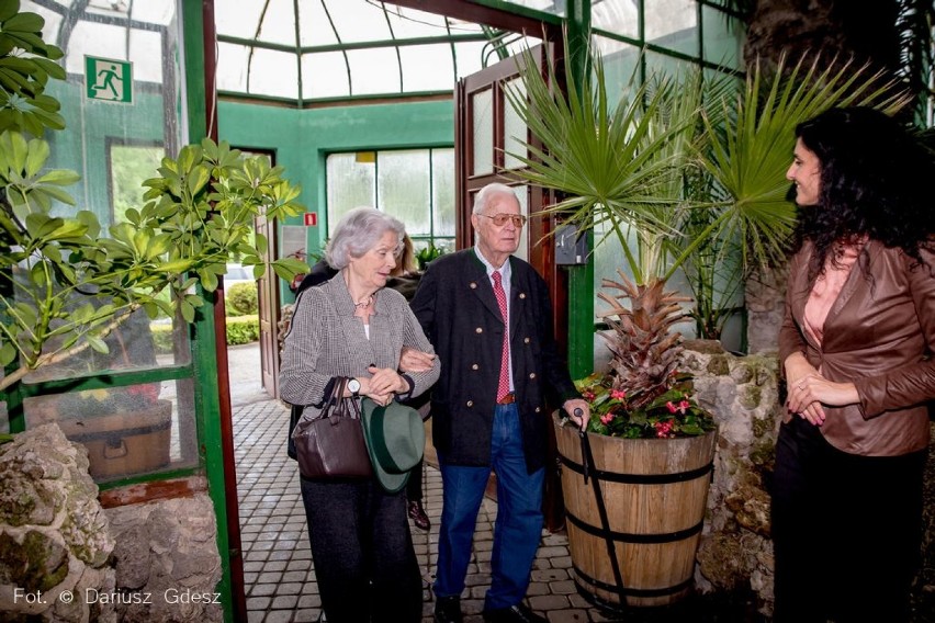 Wałbrzych: Książe Bolko posadził palmę w Palmiarni w Lubiechowie