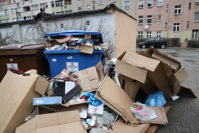 Jak Legnica radzi sobie z segregacją śmieci, zobaczcie zdjęcia.