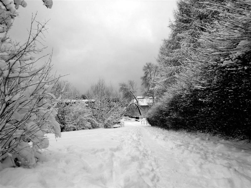 Atak zimy w Tychach: Lany Poniedziałek 2013