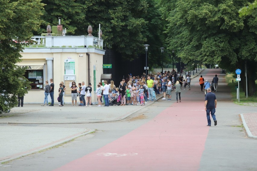 Tłumy czekają na wejście do zoo